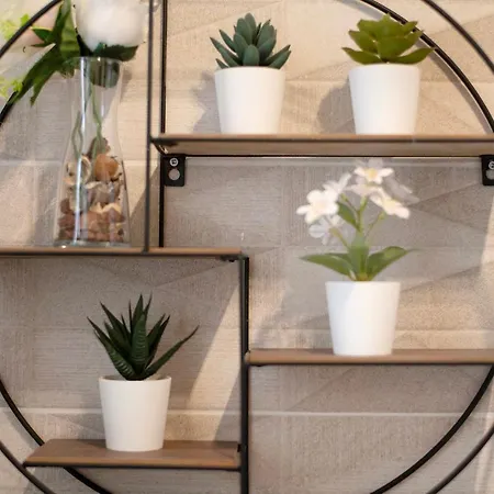 Piso Leon Y Castillo